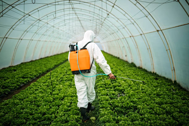 Professional Pest Control in Wise, VA