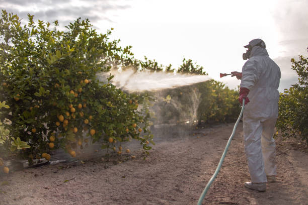Best Pest Prevention Services  in Wise, VA